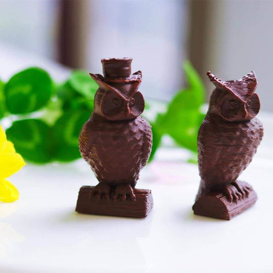 3D chocolate Printed Owl